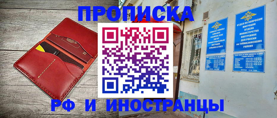 временная регистрация поиск в Светлогорске